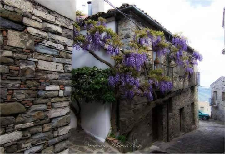Sant'Elia B&B Alessandria del Carretto Exteriör bild