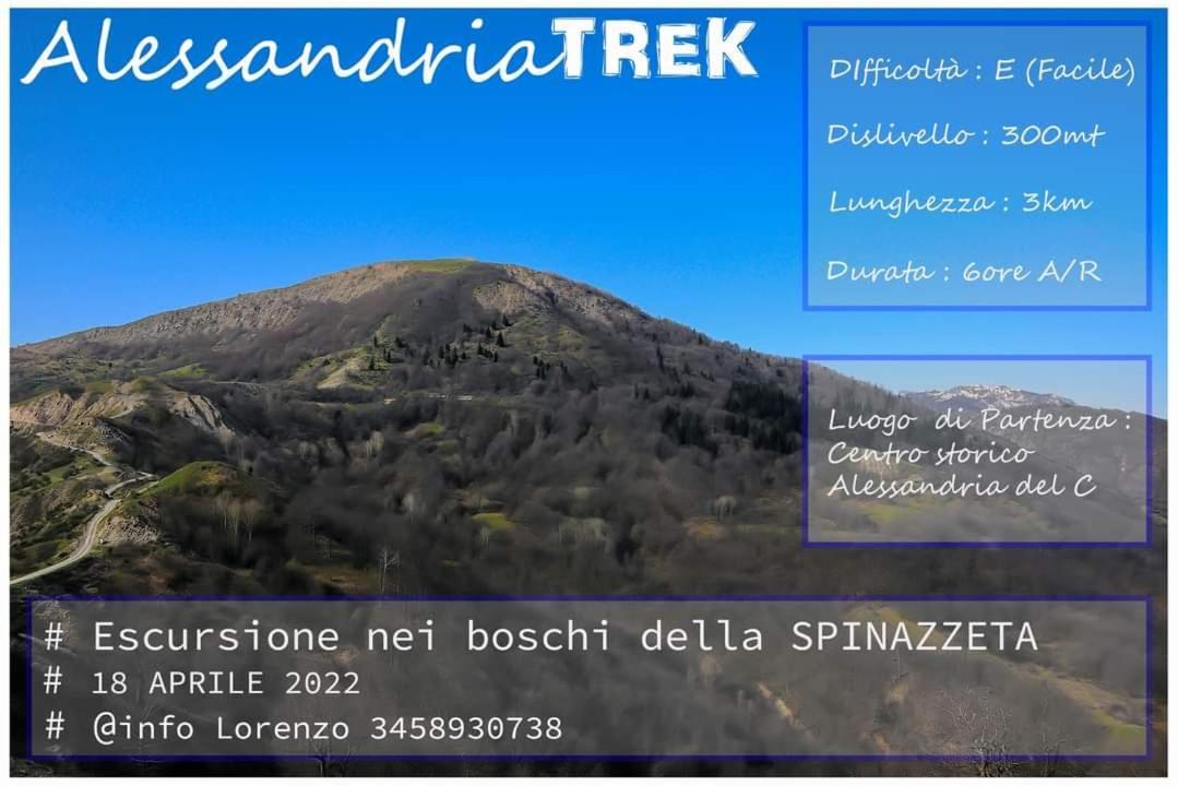 Sant'Elia B&B Alessandria del Carretto Exteriör bild