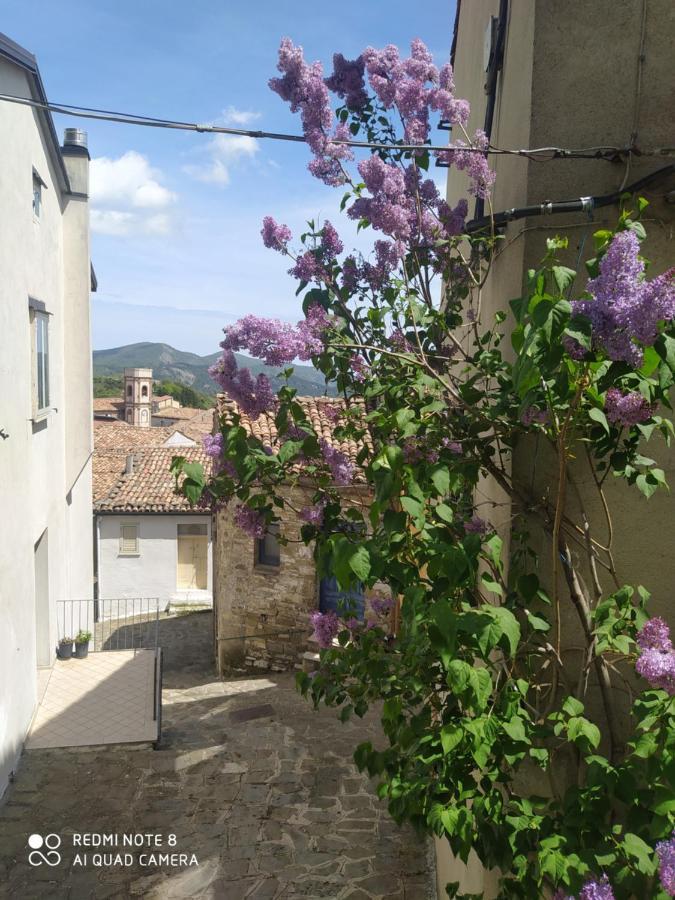 Sant'Elia B&B Alessandria del Carretto Exteriör bild